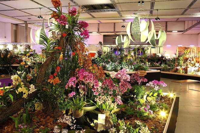 Výstava Orchidejí v Drážďanech + návštěva centra města - Obrázek 5
