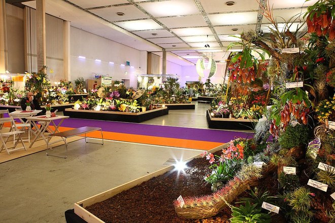 Výstava Orchidejí v Drážďanech + návštěva centra města - Obrázek 6