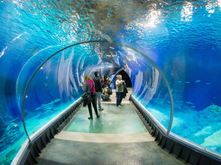 Vratislav – ZOO a Afrykarium